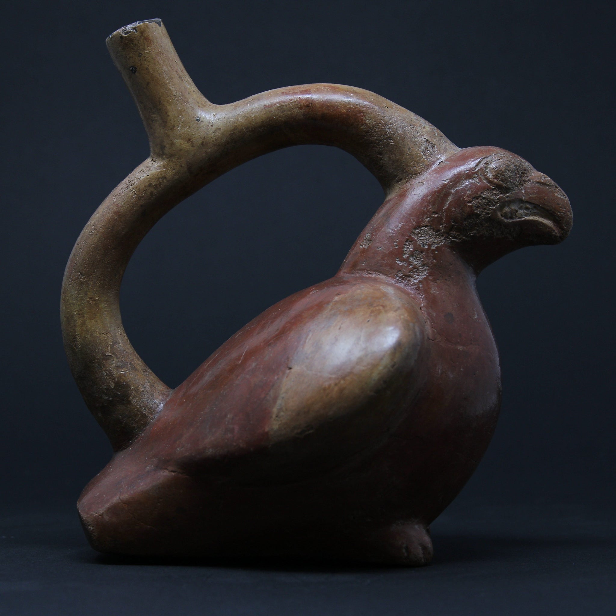A Moche stirrup vessel in the form of a hook-billed bird | Peru c. 500-800 AD
