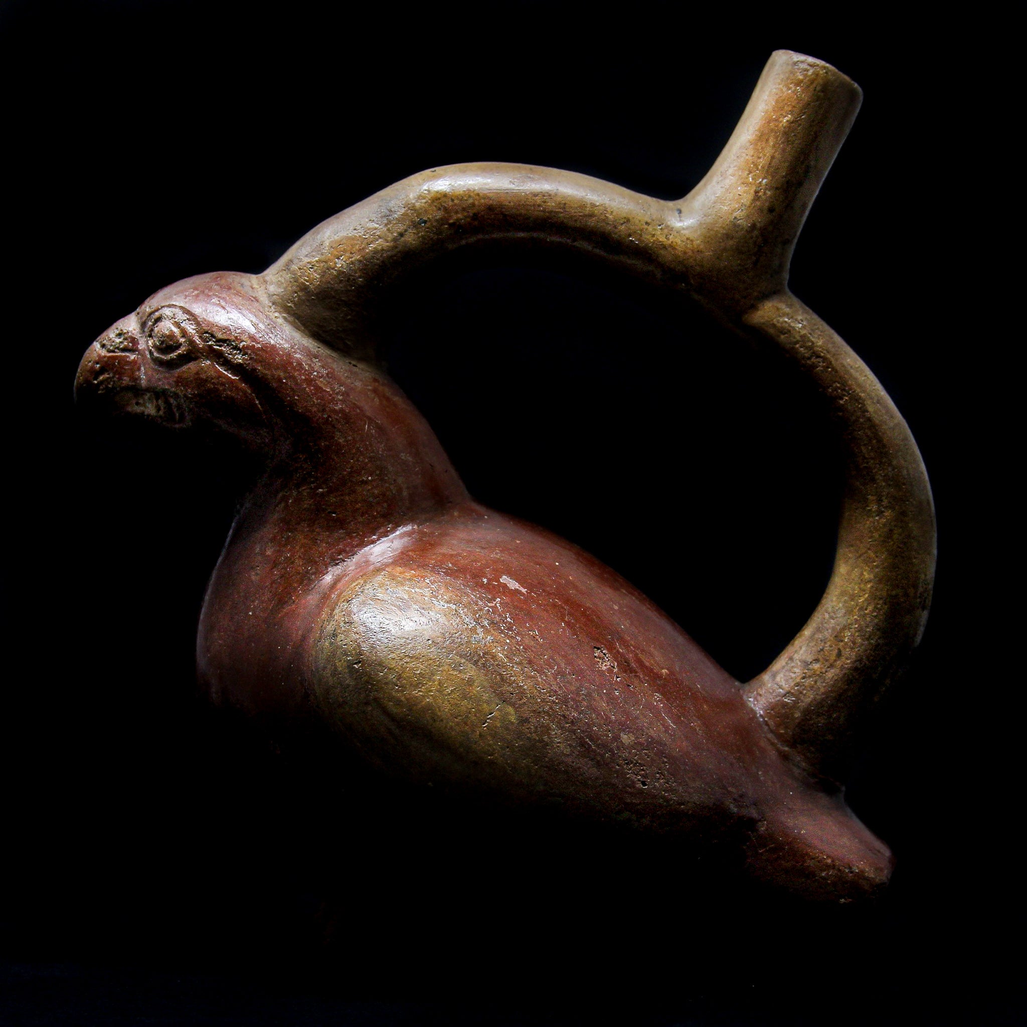 A Moche stirrup vessel in the form of a hook-billed bird | Peru c. 500-800 AD